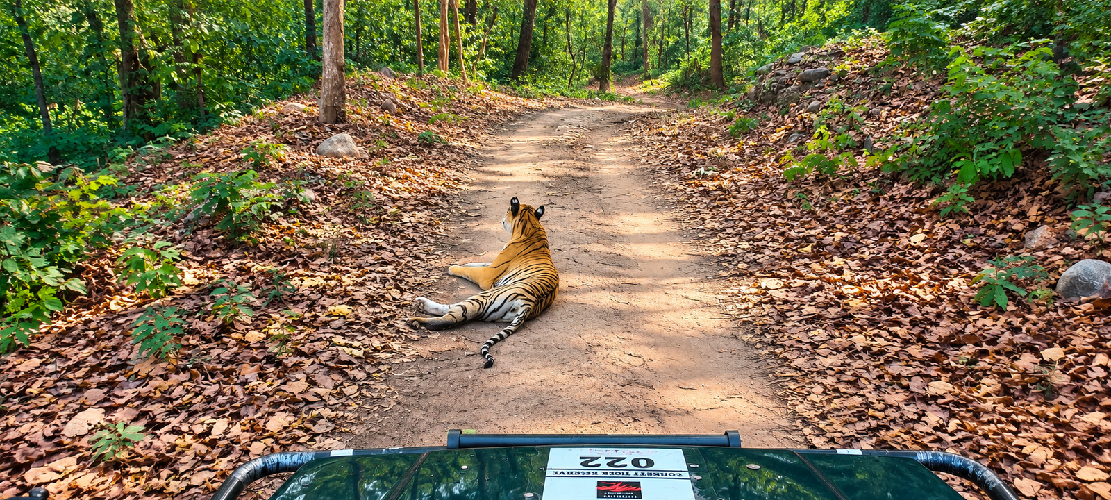 How to Reach Jim Corbett from Delhi